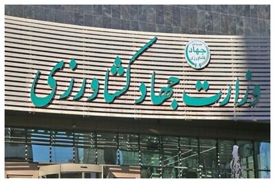 توضیحات وزارت جهاد کشاورزی درباره قیمت شیر خام