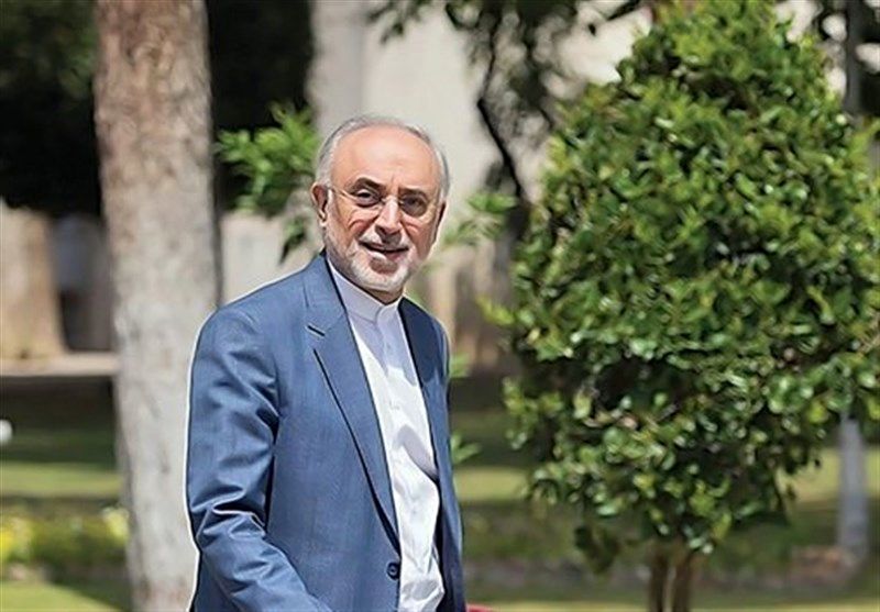 علی اکبر صالحی: تصمیم قطعی برای کاندیداتوری نگرفته‌ام
