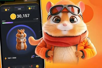 هشدار دادگستری درباره بازی «همستر کامبت»/کلاهبرداران در کمین!
