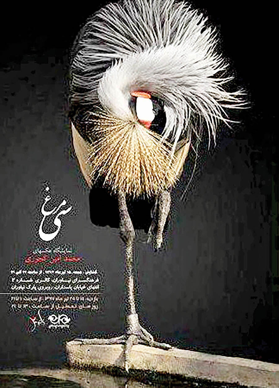 نمایشگاه عکس «سی مرغ» در نیاوران