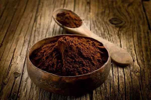 تجارت پودر هسته خرما + قیمت شیره خرما