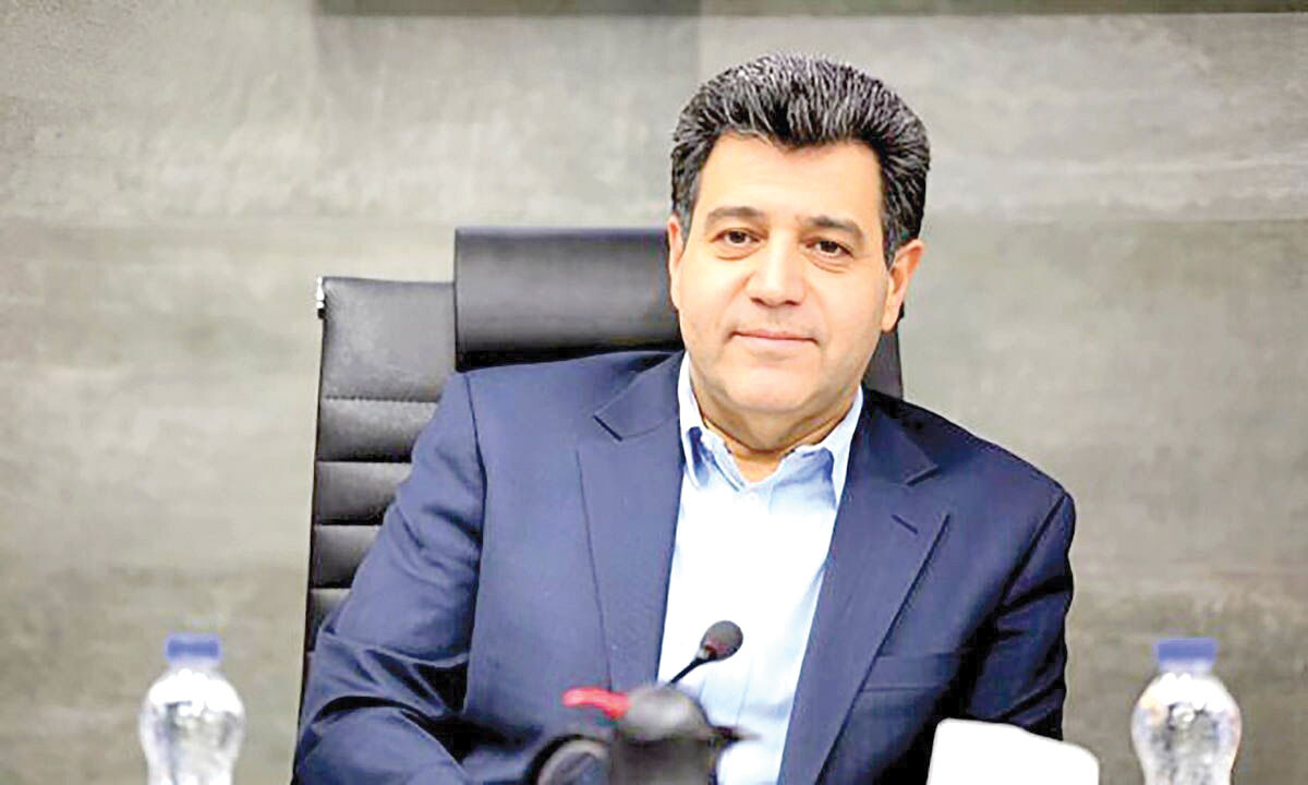 نقش بخش خصوصی در بحران