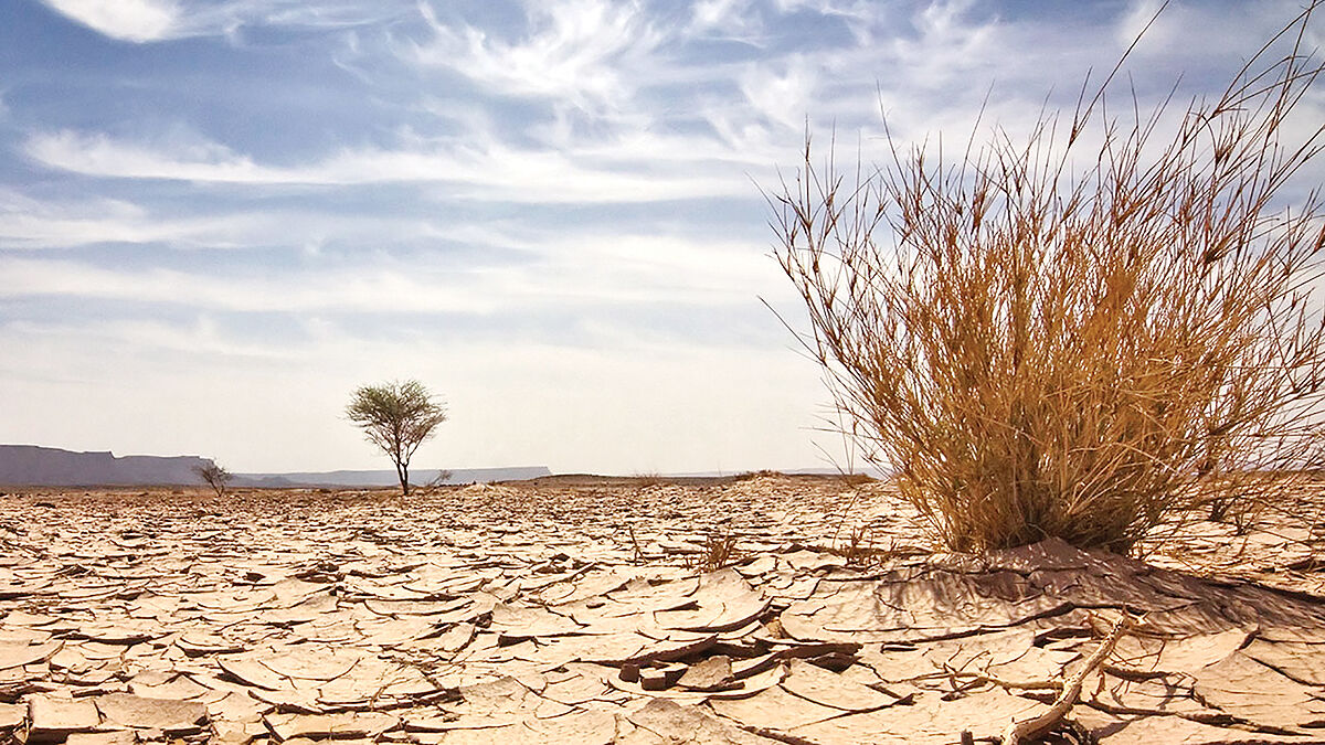 خود‌زنی در بیابان