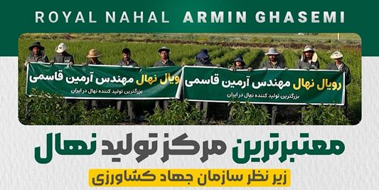 طرح استثنایی پیش فروش نهال با قیمت پارسال، در نهالستان بزرگ آرمین قاسمی آغاز شد