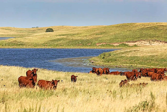  اندونزی؛ بازار جدید کشاورزان آمریکایی