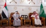 وزیردفاع عربستان و معاون رئیس امارات دیدار کردند