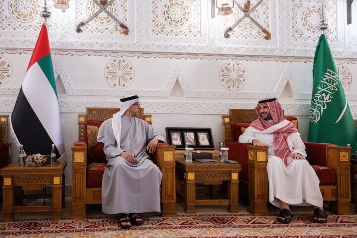 وزیردفاع عربستان و معاون رئیس امارات دیدار کردند