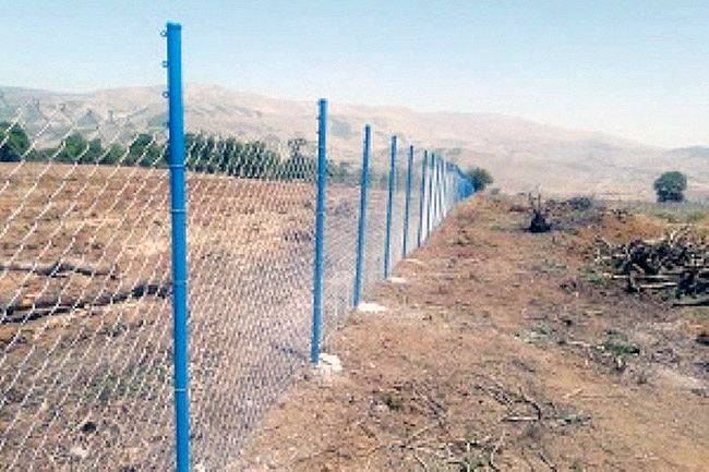 تضعیف کشاورزی با  تقسیم اراضی