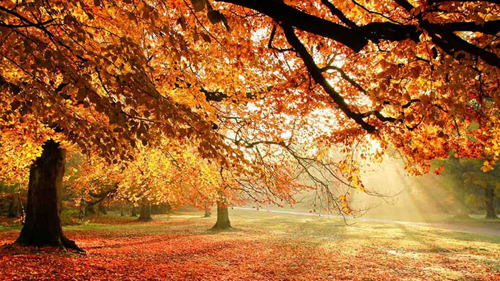 شهرهای شمال و سراسر ایران برای سفر و اجاره ویلا در پاییز