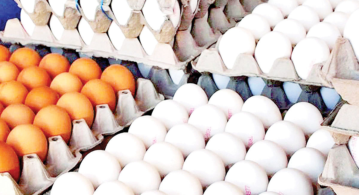 عوارض صادراتی مرغ، تخم مرغ، شیرخشک و خامه فله رسما حذف شد