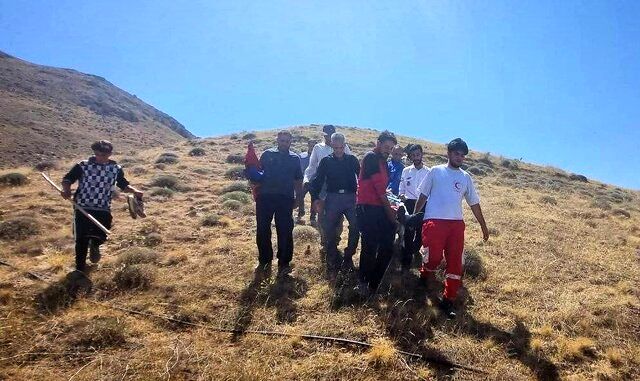 حمله گراز وحشی به یک نفر در ارتفاعات این استان