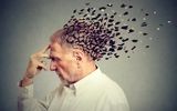 آخرین وضعیت ابتلا به آلزایمر در ایران/ بیش از ۳۰ درصد جمعیت ایران در سال ۱۴۳۰ سالمند خواهند بود