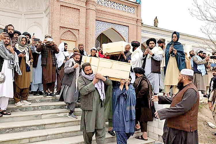 مرگ «امید» در تراژدی کانتینرها