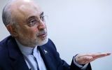 ارزیابی علی اکبر صالحی از مذاکره با آمریکا/ از گذشته خاطره خوشی نداریم/ نباید در داخل بوی تفرقه به مشام برسد