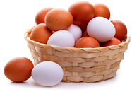 اثرات خوردن هر روزه تخم مرغ برای سلامتی