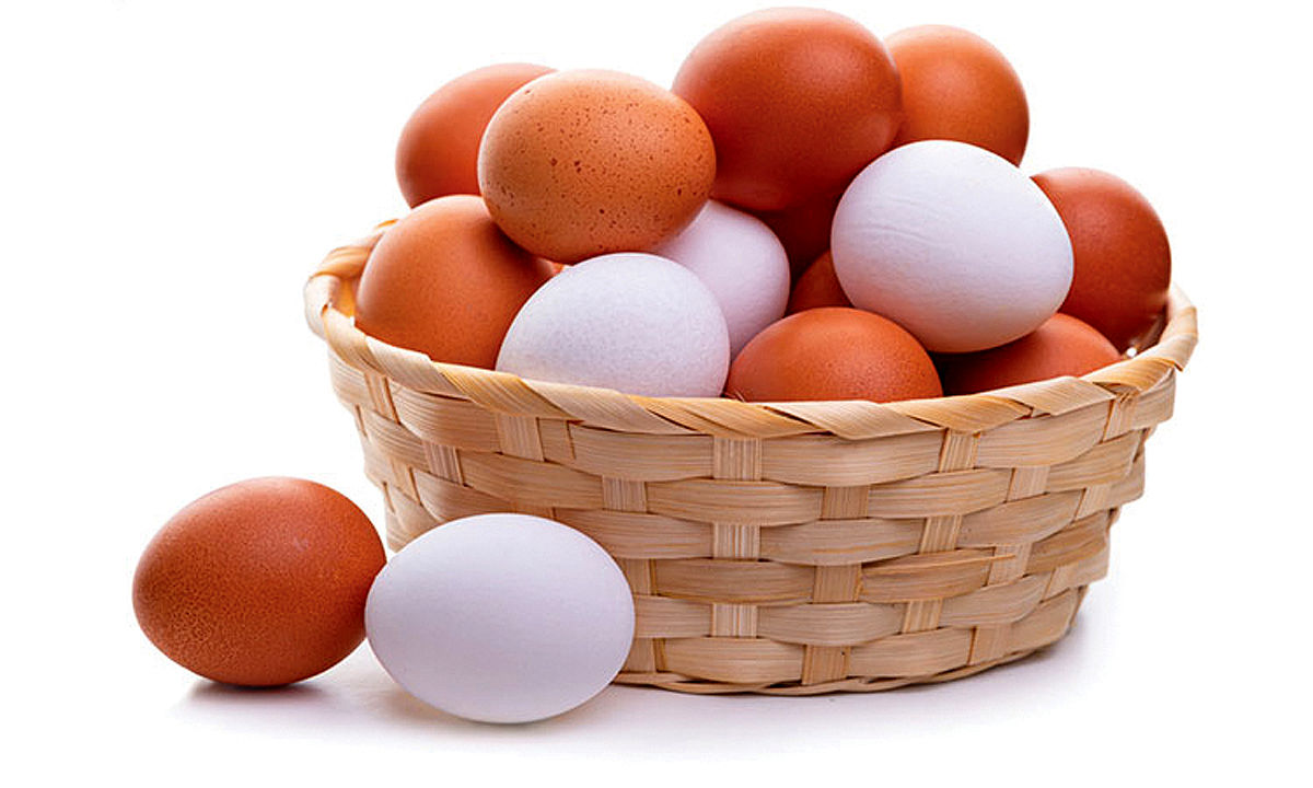 اثرات خوردن هر روزه تخم مرغ برای سلامتی
