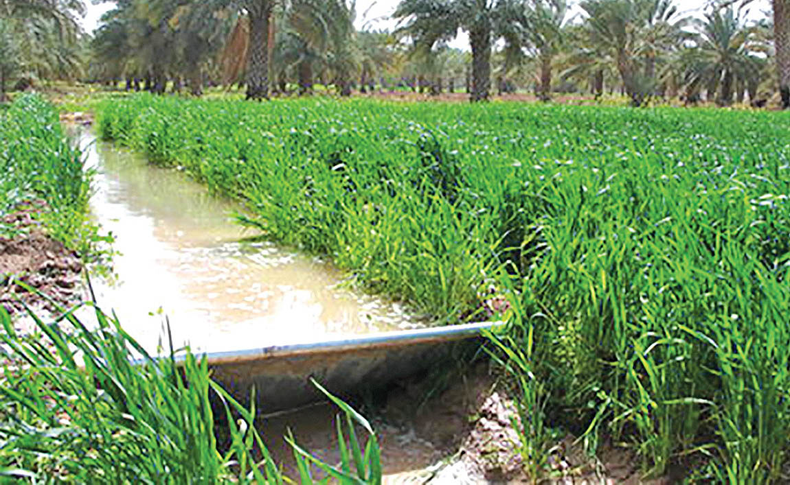 تامین آب کشاورزی خوزستان 