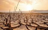 خشکسالی هشداردهنده در سراسر خاورمیانه/ چه کسی مقصر است و برای گذراندن بحران چه باید کرد؟