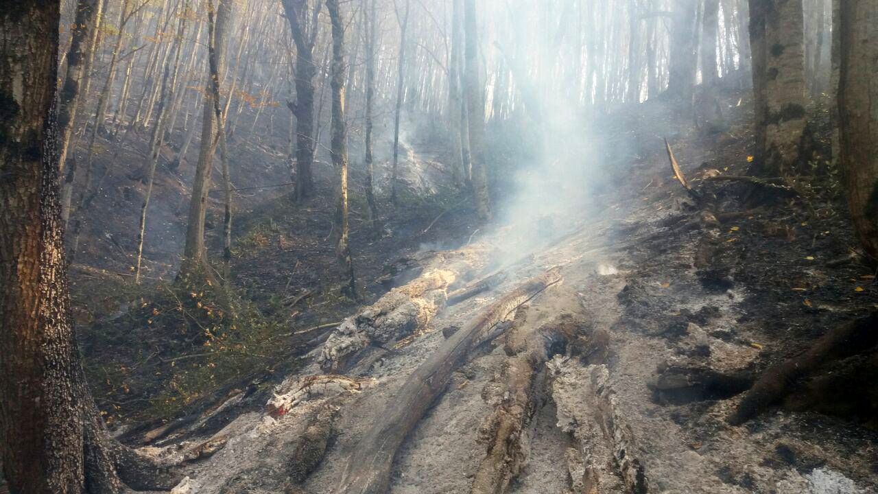 جزئیاتی جدید از آتش‌سوزی در جنگل ابر شاهرود