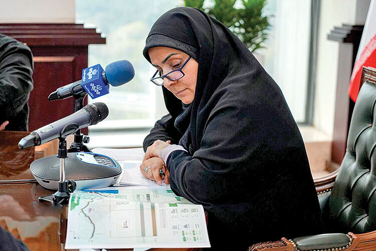 دعوت وزیر از مسکن‌‌‌‌‌‌‌سازان «چینی»