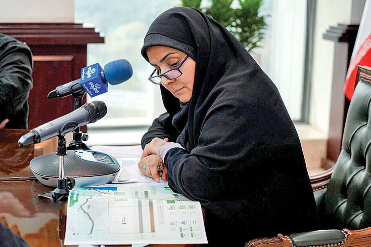 دعوت وزیر از مسکن‌‌‌‌‌‌‌سازان «چینی»