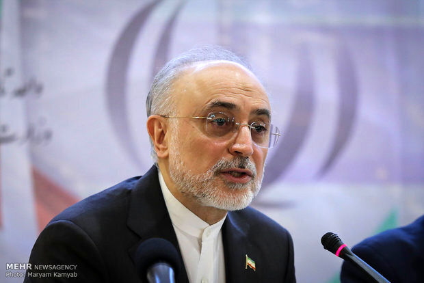 توئیت معنادار صالحی درباره اولویت حکمرانی در جمهوری اسلامی
