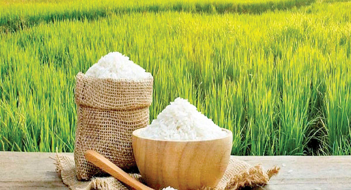 انجمن تولیدکنندگان و تامین کنندگان برنج رسما آغاز به کار کرد