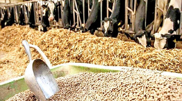 نارضایتی از عدم تحویل به موقع نهاده‌های دامی