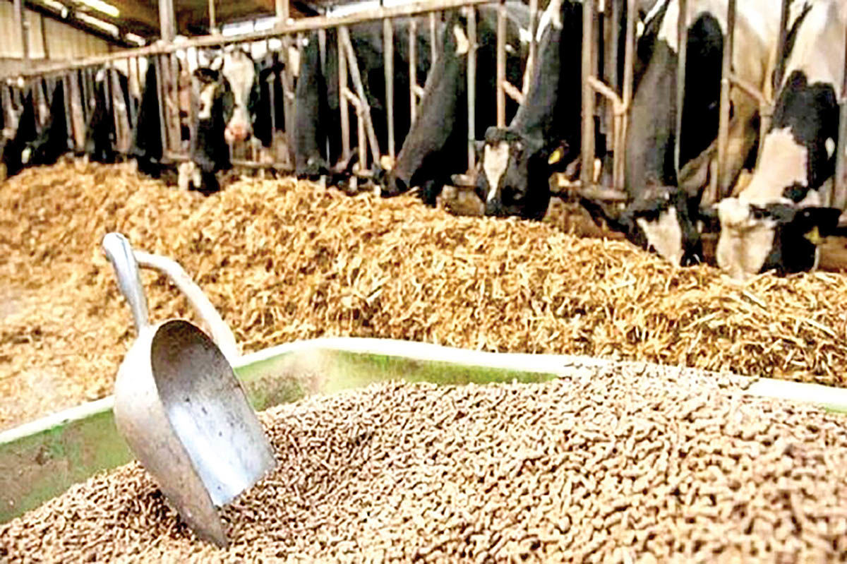 نارضایتی از عدم تحویل به موقع نهاده‌های دامی