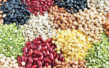کاهش قیمت حبوبات