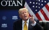 از «جمهوری اسلامی ژاپن» تا «جنگ ابربایجان» با آلبانی