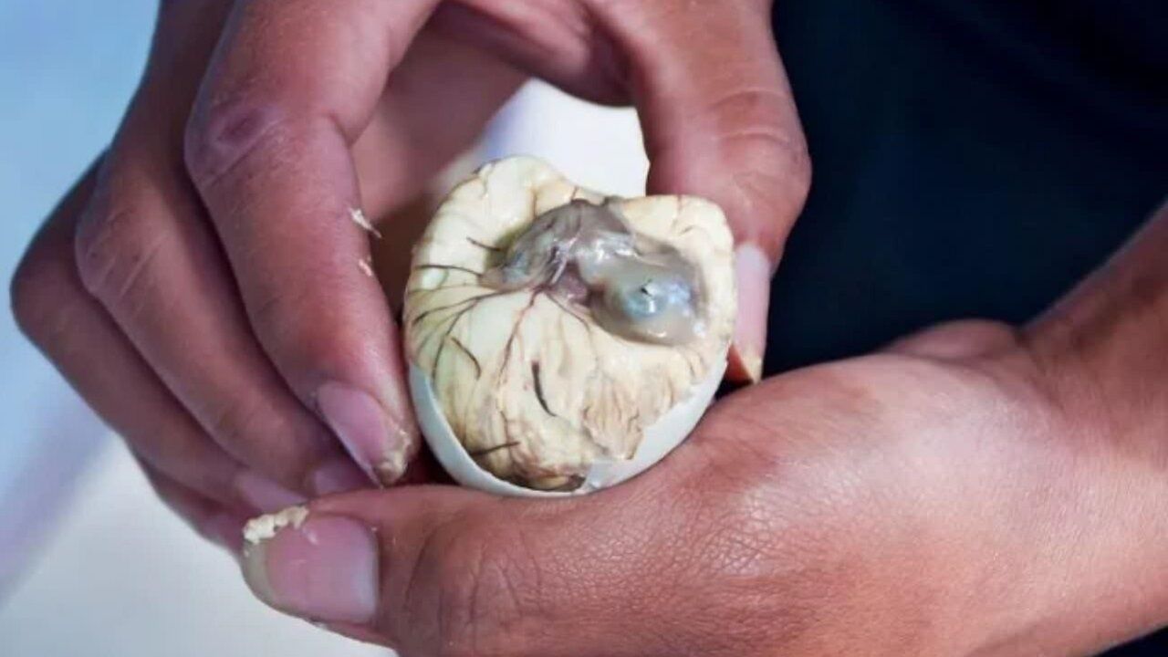 عجیب ترین و چندش آورترین غذاهای جهان + عکس