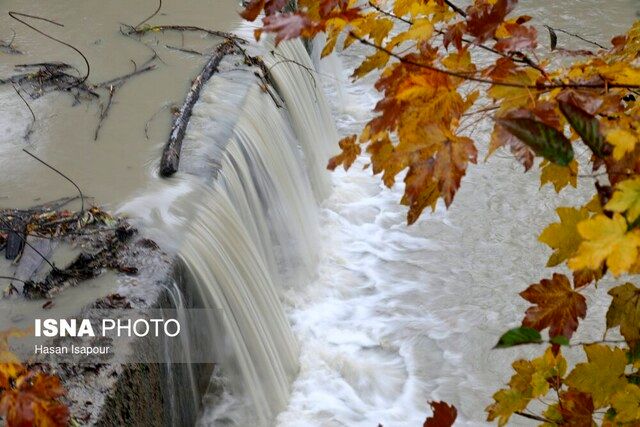 هشدار مدیریت بحران/ احتمال سیلاب در این استان با بارش شدید باران