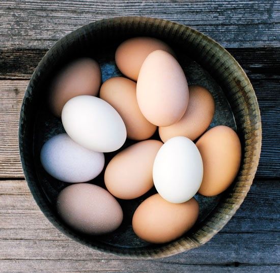 چرا زرده بعضی تخم‌مرغ ها کم رنگ است؟