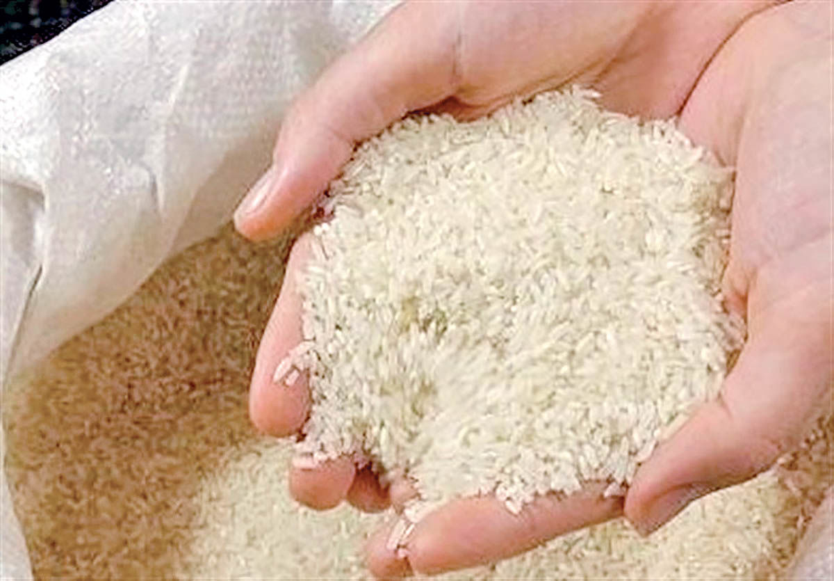برنج ایرانی بالاخره ارزان می‌شود؟