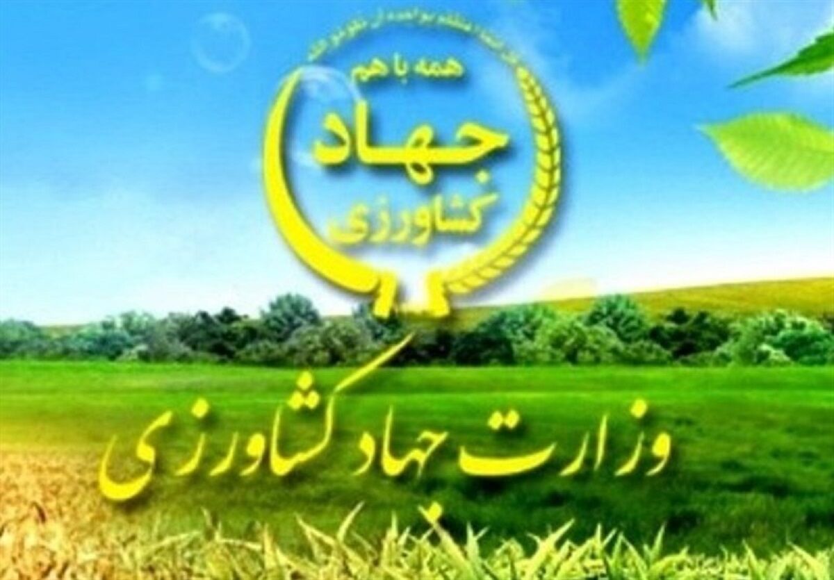 خبر مهم برای کشاورزان/ خرید تضمینی محصولات کشاورزی افزایش یافت
