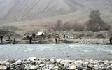 جویندگان طلا افغانستان را بهم ریختند + فیلم