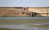 زنگ خطر اکوسیستم اقتصادی بوشهر
