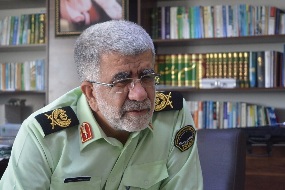 شلیک پلیس سارق فراری را زمین‌گیر کرد 