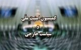 توضیحات مهم درباره بررسی لایحه ساماندهی پهپادهای غیرنظامی در کمیسیون امنیت ملی مجلس