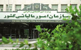 سازمان امور مالیاتی رتبه اول بهره‌وری را در میان دستگاه‌های وزارت اقتصاد کسب کرد