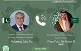 رایزنی وزرای خارجه عربستان و پاکستان درباره امنیت گذرگاه‌های آبی/ تاکید بر اهمیت ادامه دیپلماسی در منطقه