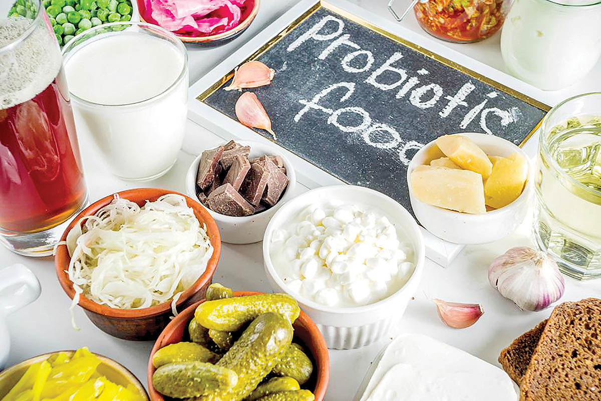 نقش مصرف پروبیوتیک‌ها در سلامت روزهای کرونایی