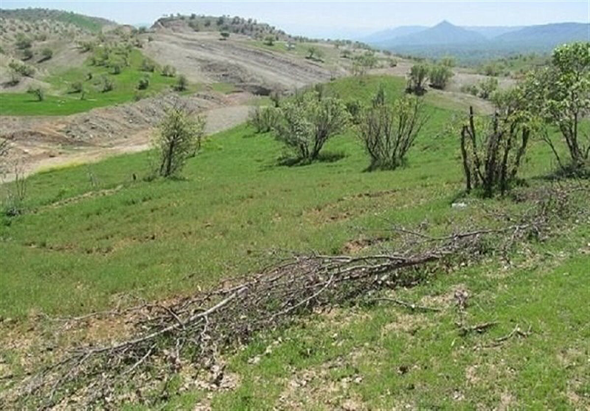 رفع تصرف اراضی ملی به ارزش ۱۳۷ میلیارد تومان در گلستان
