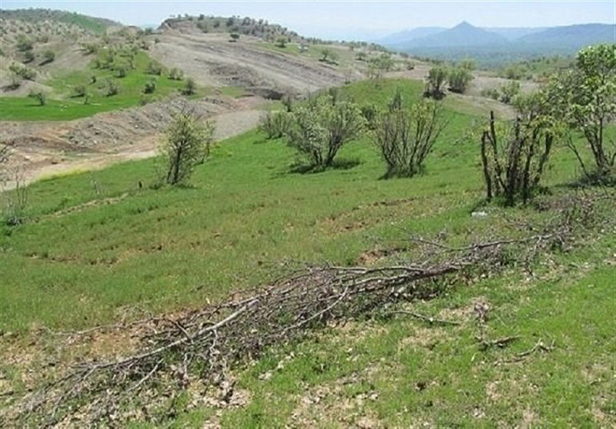 رفع تصرف اراضی ملی به ارزش ۱۳۷ میلیارد تومان در گلستان