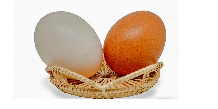 خطرات جدی مصرف تخم مرغ خام 