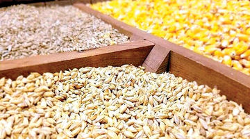 زنگ خطر حذف شرکت‌های کوچک و متوسط