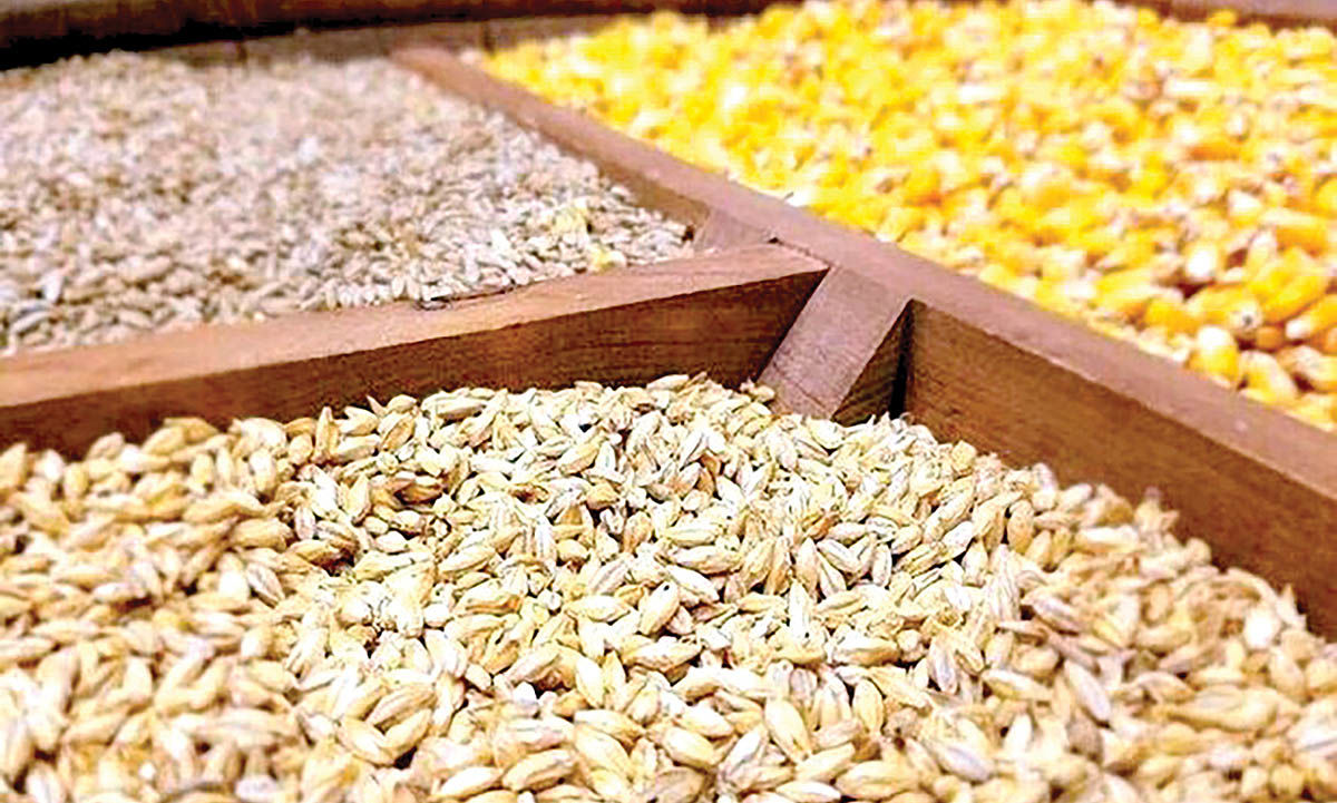 زنگ خطر حذف شرکت‌های کوچک و متوسط