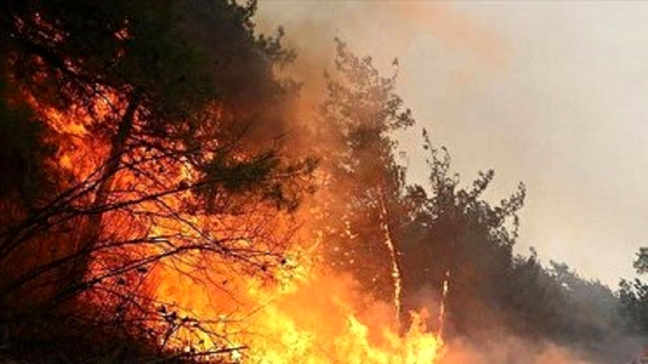 شعله‌ور شدن آتش در جنگل الیت / اعزام بالگرد هم چاره‌ساز نبود