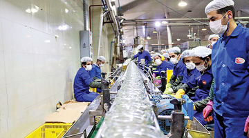 موتورهای تورمی محصولات غذایی